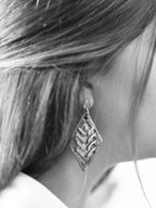 HAYAT AĞACI Köken <br>Köküne Bağlan